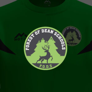 Forest of Dean District Football